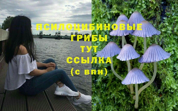 МДПВ Вязники